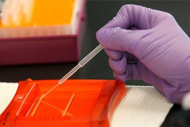 La tecnología desarrollada por las bioquímicas Emmanuelle Charpentier y Jennifer Doudna abre la puerta a desarrollar tratamientos para enfermedades genéticas sin terapias eficaces. Imagen de archivo de laboratorio en Nueva Orleans. Foto Ap