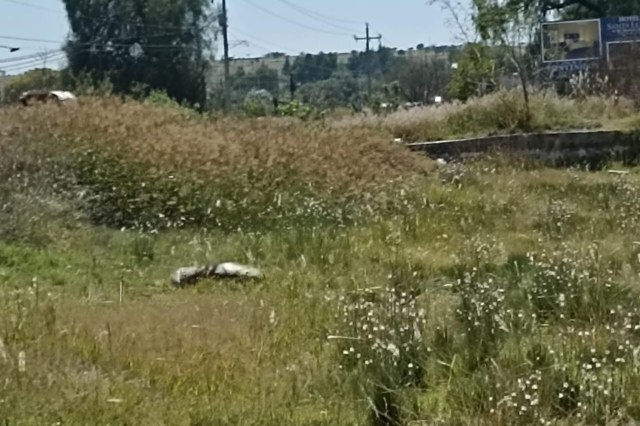 Hallan restos humanos en la carretera Tecali de Herrera–Tepeaca