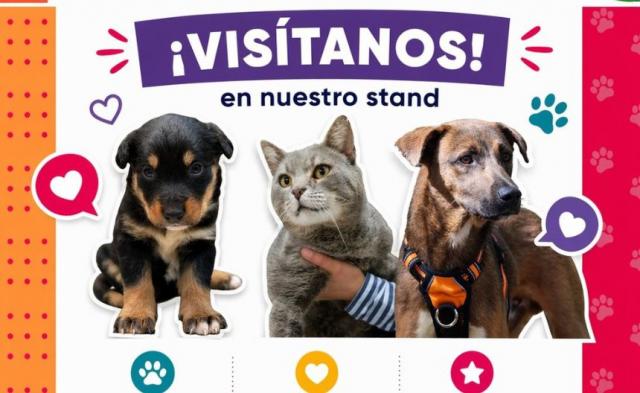 ¡Haz la diferencia! Adopta un lomito en la Feria de Puebla y dale hogar