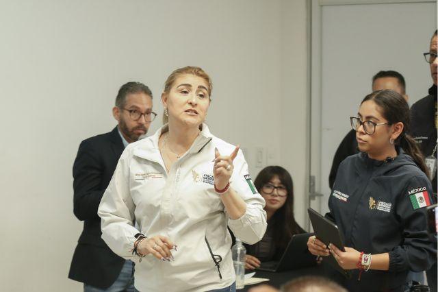 Fiscal de Puebla, Idamis Pastor Betancourt