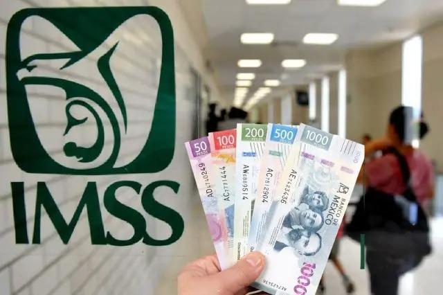 Evita que el IMSS suspenda tu pensión: actualiza tus datos y verifica tu estatus