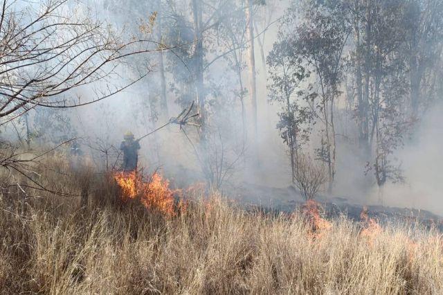 Incendio 