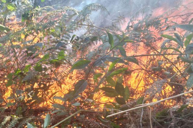 Incendio en cerro de Chignautla 