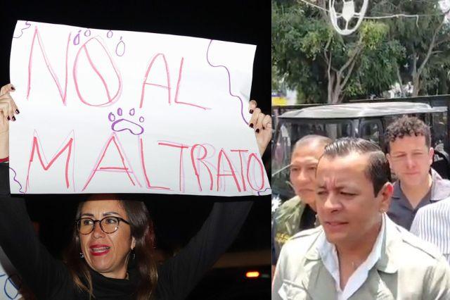 Maltrato animal