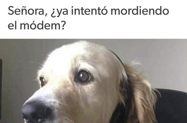 Foto / Twitter