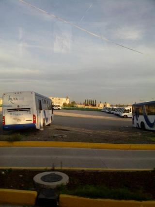 Foto @lalin_nola