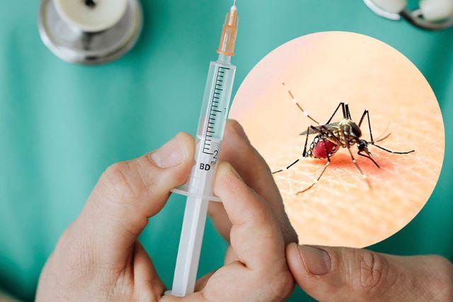 mosquito dengue Puebla