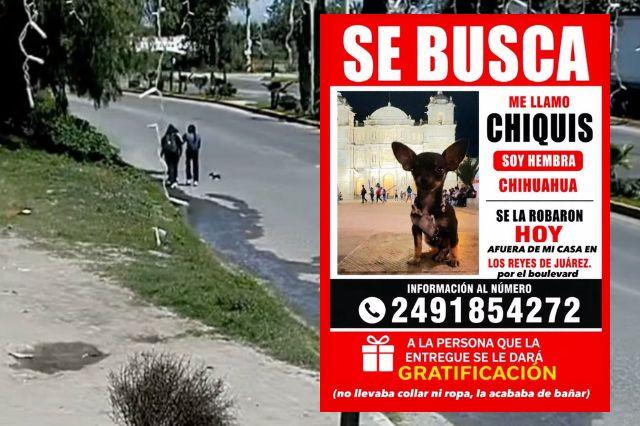 Buscan a "Chiquis"