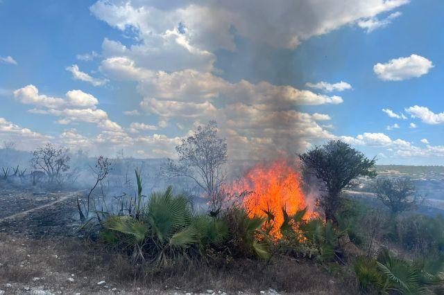 Incendios forestales