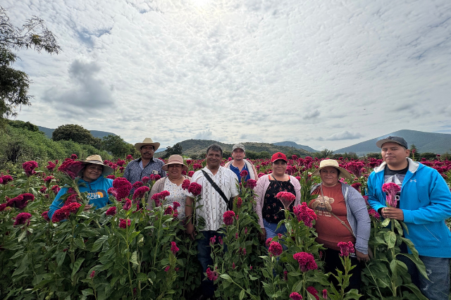 Atoyatempan, Valle de Catrinas