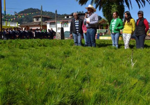 Foto José Rosas Cano