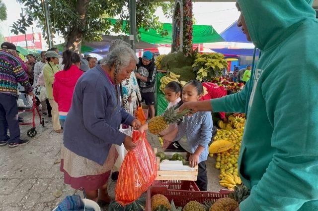 Reparten fruta