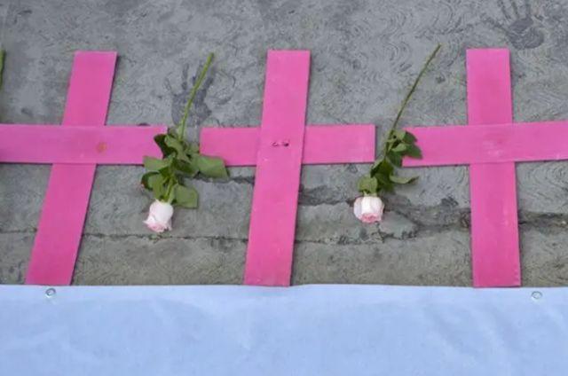 Cruces de color rosa que representan feminicidios