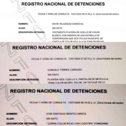 El Registro Nacional de Detenciones confirma las aprehensiones