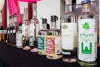 Mezcales de Puebla 