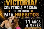  Huesitos en Tehuacán 