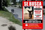 Buscan a "Chiquis"