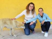 Georgina y Molly, vecinas de Haras, realizan una estupenda labor altruista de esterilización canina, en beneficio de la zona natural de Haras y Flor del Bosque