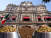 Palacio del Ayuntamiento con platos de comida para animales