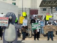 Animalistas en protesta; exigen a la BUAP detener la Prueba de Nado Forzado aplicada a roedores