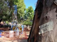 Árbol en riesgo por cablebús en Puebla