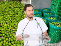 Bernardo Bravo Manríquez, presidente nacional de los limoneros y líder de la Asociación de Citricultores del Valle de Apatzingán: imagen ilustrativa