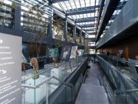 Interior del Congreso de Puebla