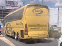 Autobuses ORO