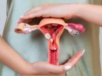 Cáncer cervicouterino en Puebla: DIF ofrece estudios gratuitos en la UMI