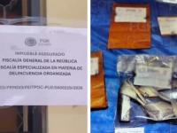 FGR rescata a dos colombianas en San Baltazar Campeche