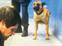 Foto www.noticiasmvs.com