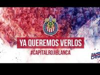 Foto / Twitter