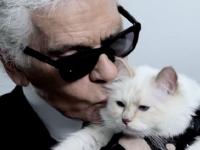 Foto: Instagram @choupettesdiary