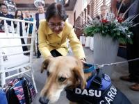 Rectora de la BUAP Lilia Cedillo Ramírez con perro Carolino