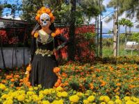 Comunidades anuncian sus actividades para celebrar el Día de Muertos