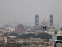 Foto / Agencia Enfoque