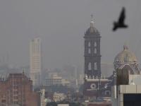 Foto / Agencia Enfoque