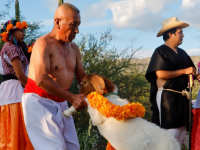 Chivo del Mole de Caderas