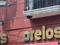 Colmena de abejas 