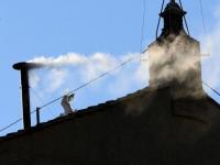 Humo blanco saliendeo de chimenea tras elegir papa