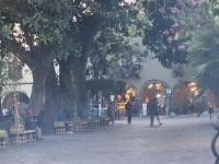 Dengue Atlixco