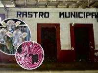 Fachada del rastro municipal de Zacapoaxtla; vacas; imagen aumentada de la bacteria de tuberculosis bovina