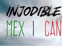 La producción retrata la travesía de Raúl y Chris, dos mexicanos radicados en Austria