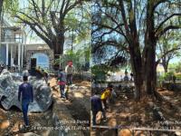 Colonia Ahuehuete de Atlixco 