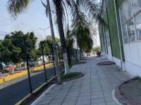 Joven baleado 