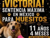  Huesitos en Tehuacán 