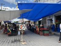 Mercado La Purísima