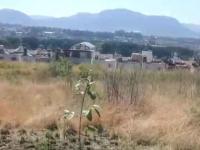 "Reforestando Andamos"