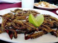 Zapotitlán Salinas