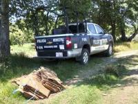 Santa Cruz Analco